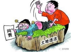 土地纠纷,探寻争议背后的法律与民生问题 第3张 土地纠纷,探寻争议背后的法律与民生问题 第3张