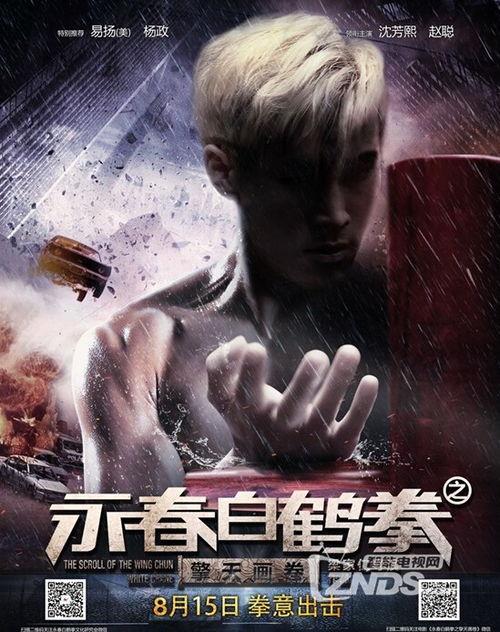 永春白鹤拳之擎天画卷,擎天画卷中的武术传奇 第3张 永春白鹤拳之擎天画卷,擎天画卷中的武术传奇 第3张