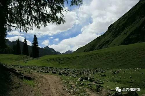 野狼谷,荒野探险与狼群传奇的神秘之旅  第3张