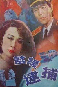 暂缓逮捕,法律人性化与司法公正的探索与实践