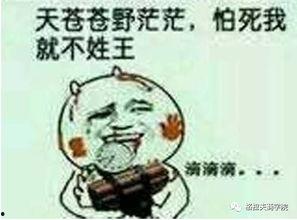 隔壁老王,揭秘邻里间的温馨故事 第2张 隔壁老王,揭秘邻里间的温馨故事 第2张