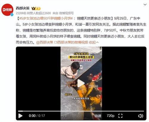 喂,搵边位? 第3张 喂,搵边位? 第3张