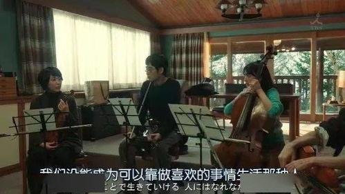 全城热搜四重奏,揭秘音乐界的璀璨星光与激情碰撞  第2张