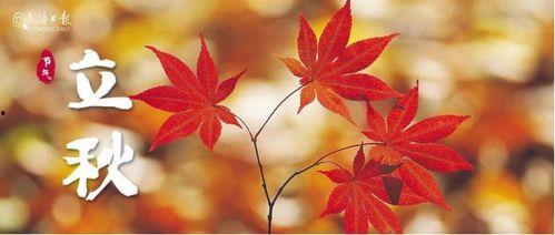 今秋有风,风起云涌,今秋的风韵 第2张 今秋有风,风起云涌,今秋的风韵 第2张