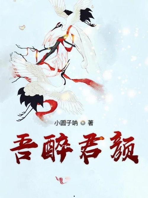 醉君颜,探寻古代酒文化的韵味与风情  第2张